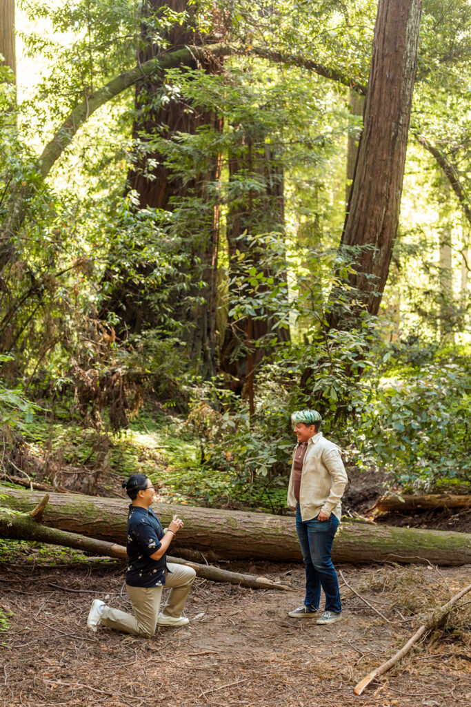 lgbtq couple getting engaged in a forest