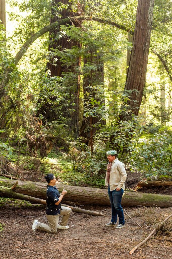 A romantic proposal in the woods