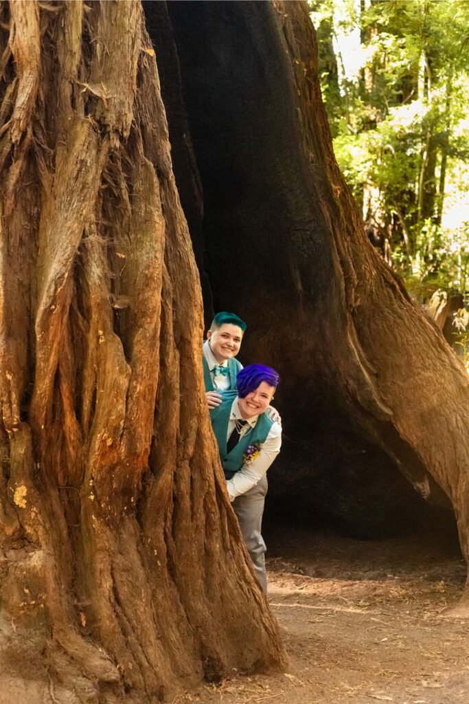 Nova and Arden hiding in a massive tree