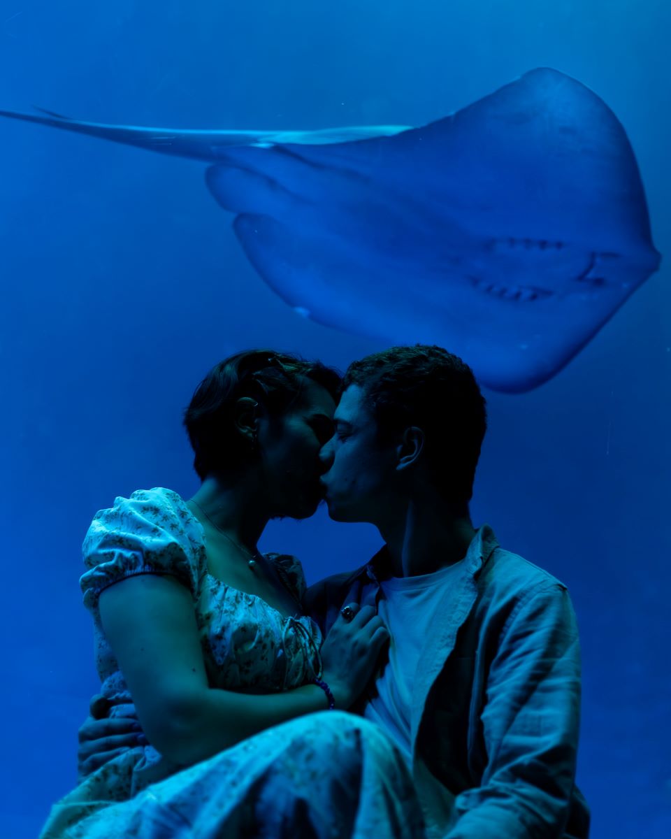 Couple kissing each other at the Monterey Bay Aquarium and behind them is a sting ray 