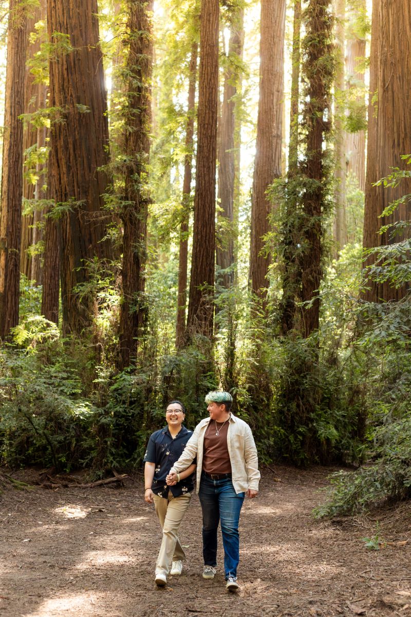 Couple walking hand in hand at Henry Cowell Redwoods State Park behind them are the redwoods one person is wearing a blue button up and tan slacks and the other is wearing a tan button up and a brown shirt and jeans  