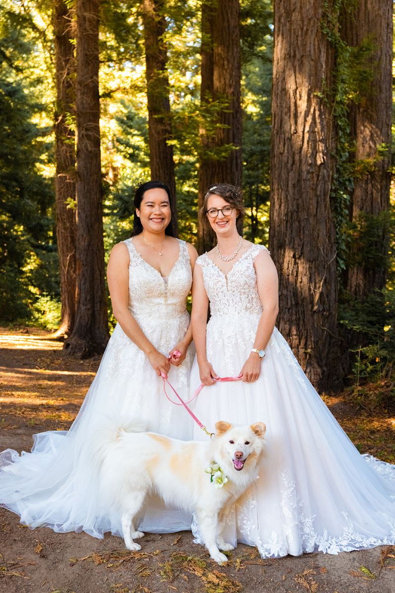 A couple wearing white wedding dresses and they are with their dog who has a pink leash and is a white dog with brown spots and the couple is in a forest with large surrounded by large trees 