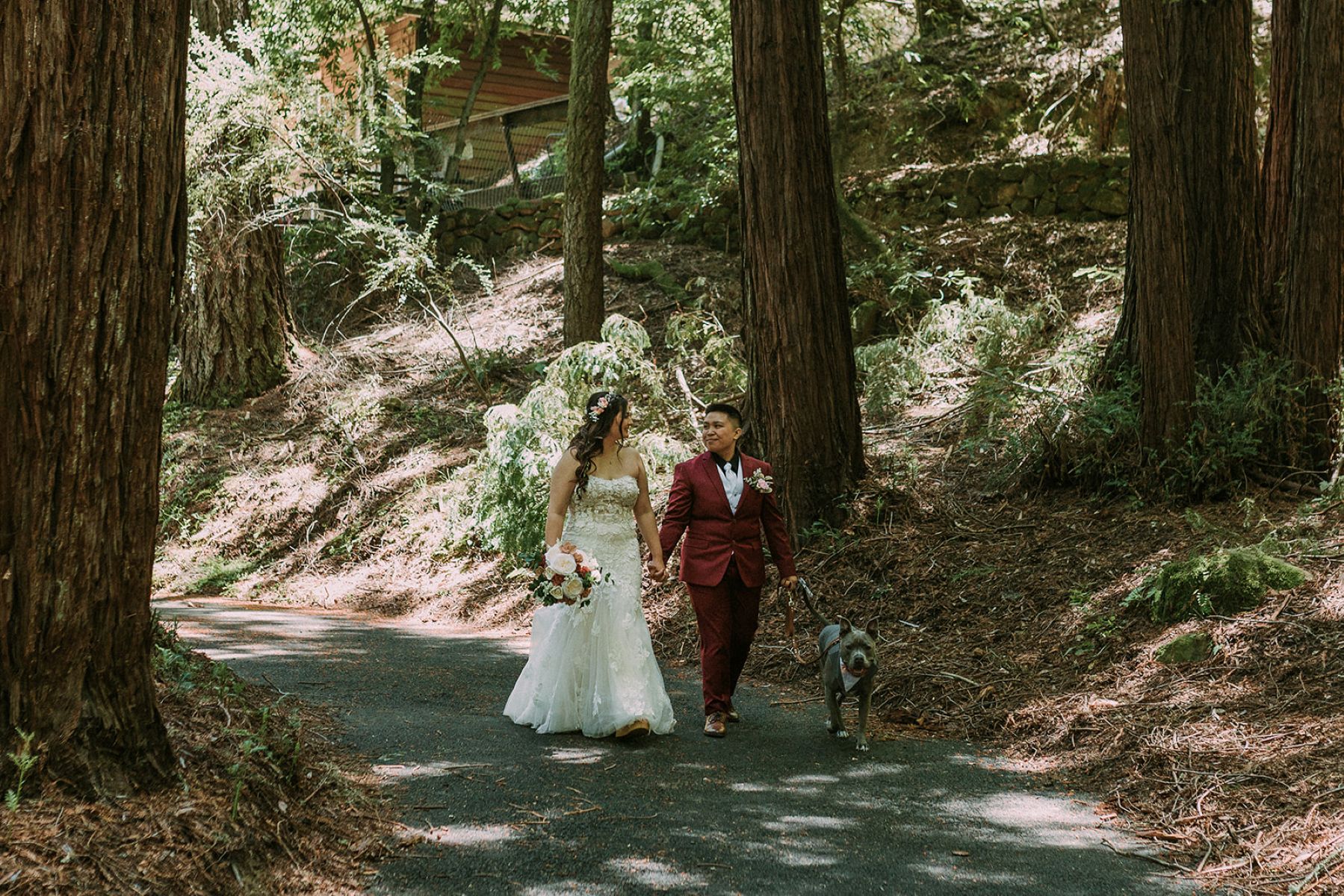 a queer couple walking down a paved trail with their dog in sanborn county park on the day of their wedding smiling and looking at eacho other while surrounded by redwood trees