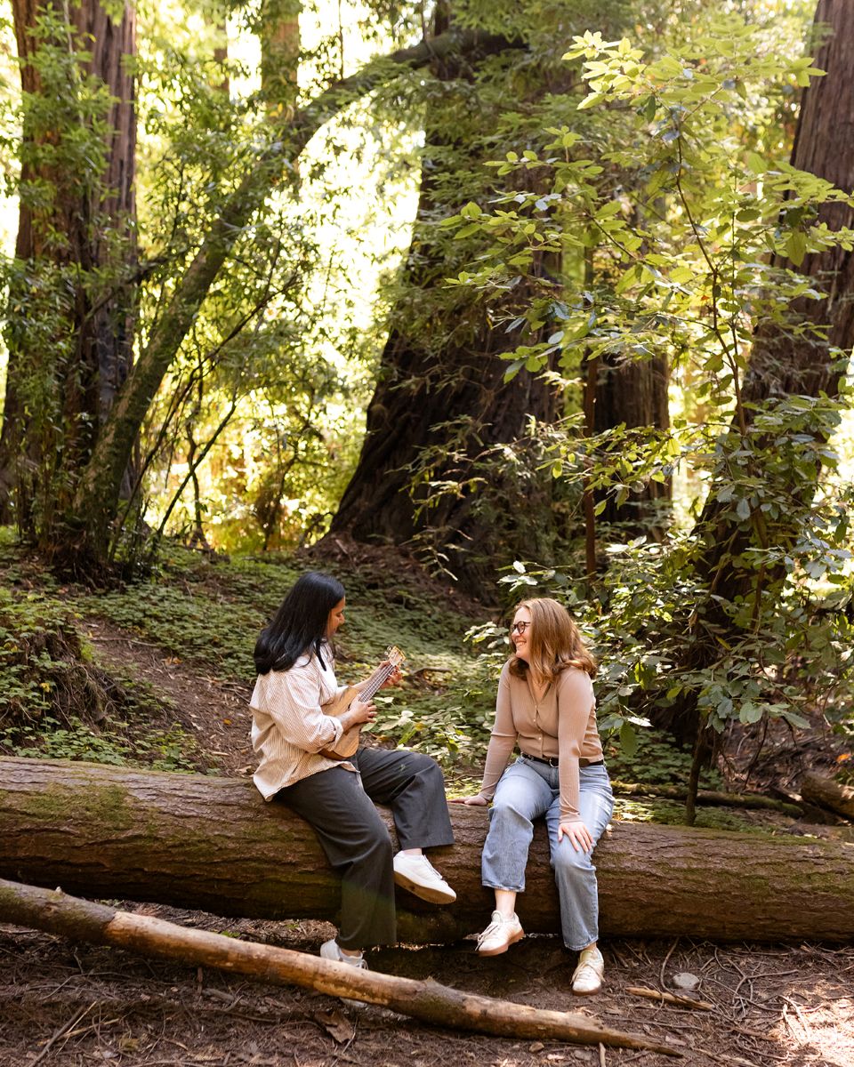 a couple sitting on a log in henry cowell state park one partner is serenading the other with a ukulele