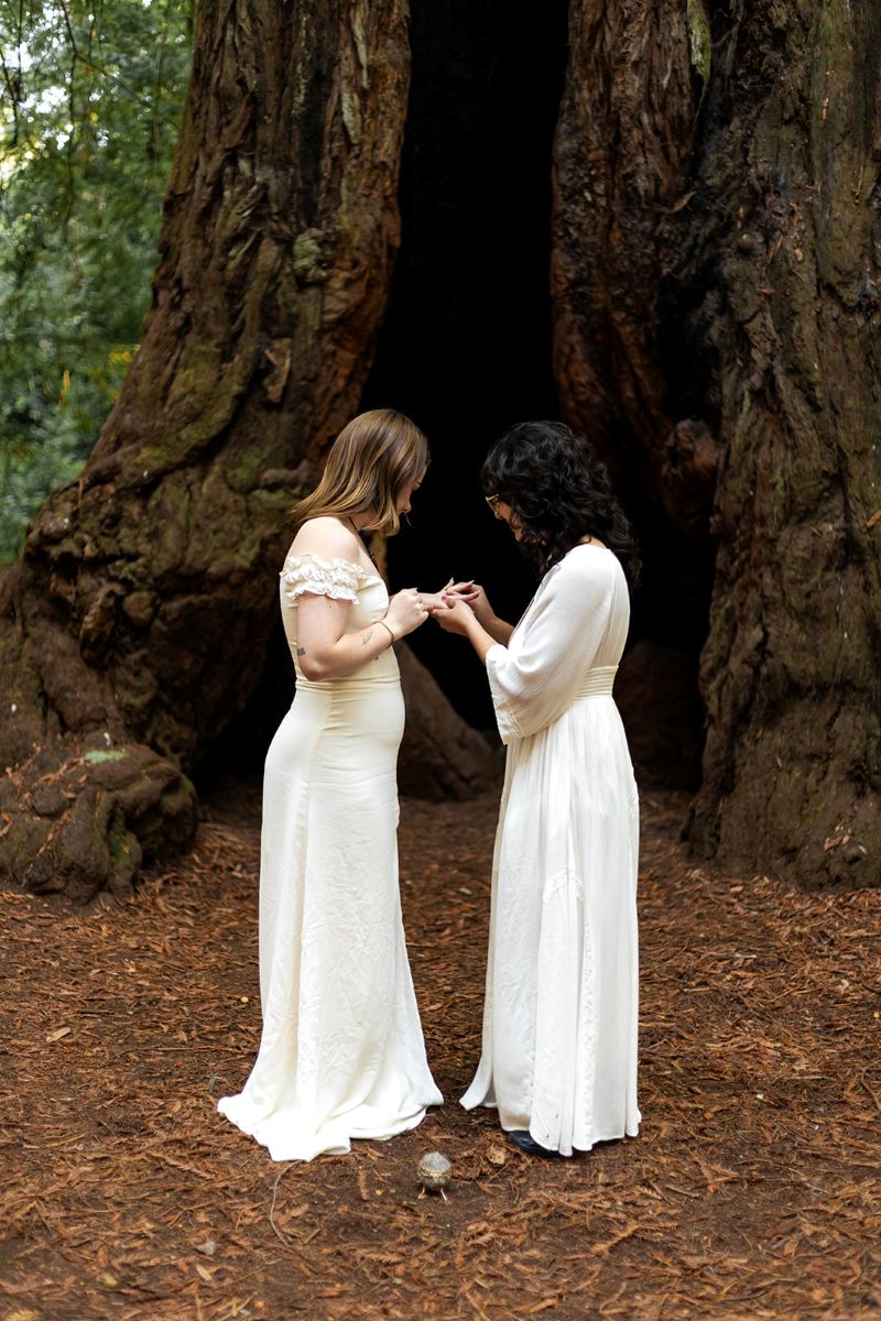 an lgbtq+ surprise proposal in henry cowell state park a woman is putting a ring on her partner's finger 
