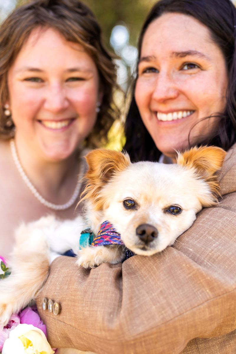 a couple smiling and holding their dog