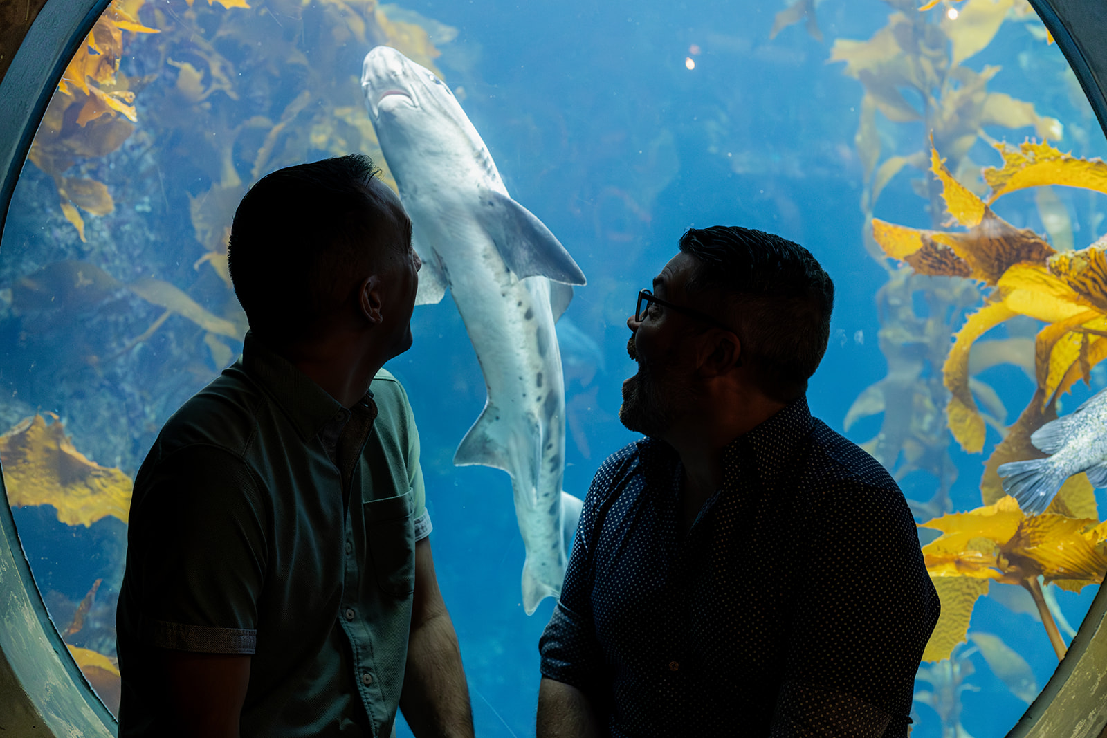 a queer couple taking aquarium engagement photos at the monterey bay aquarium they are both excited as they watch a shark swim by 