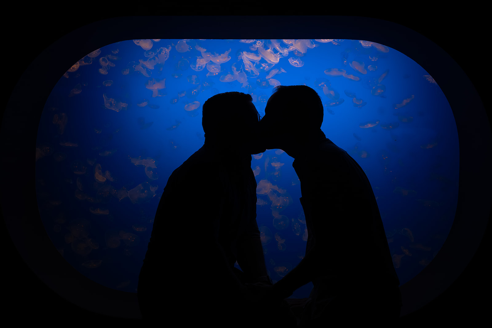 a queer couple kissing inside the monterey bay aquarium during their engagement session 